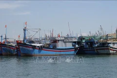 Des bateaux de pêche sont ancrés au port de pêche du quartier de Quy Nhon, province de Gia Lai. Photo: VNA