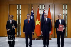 Le secrétaire général du Parti et président de la République To Lam (2e de gauche à droite) et le Premier ministre australien Anthony Albanese assistent à l'échange de documents de coopération entre les deux pays. Photo : VNA.
