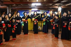 Interprétation du « dan tinh » et du chant « then » pour les touristes au homestay Tai Ngao, hameau Na Tong, commune de Thuong Lam, province de Tuyen Quang. Photo : VNA