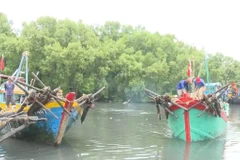 La province de Dông Thap démontre une forte détermination dans la lutte contre la pêche illicite, non déclarée et non réglementée (INN). Photo : VNA