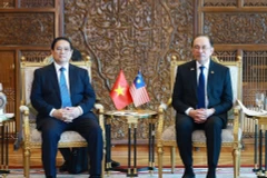 Le Premier ministre vietnamien (à gauche) et son homologue malaysien. Photo : VNA