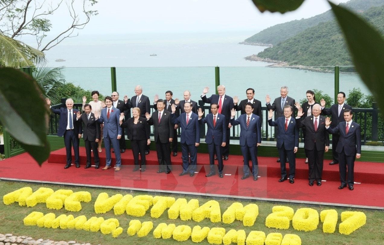 Le président Trân Dai Quang souligne le succès de l’APEC 2017 ảnh 2 Le président Trân Dai Quang souligne le succès de l’APEC 2017 ảnh 2