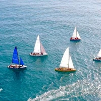 Des régates sur la rivière Han seront prévus lors du Enjoy Danang Festival 2025. Photo: VNA