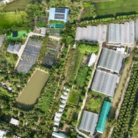 Le tourisme à la ferme, une tendance en plein essor au Vietnam 