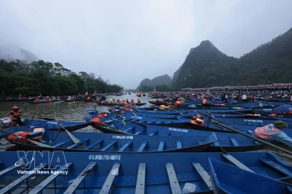 Des dizaines de milliers de bateaux transportent les touristes. Photo : VNA