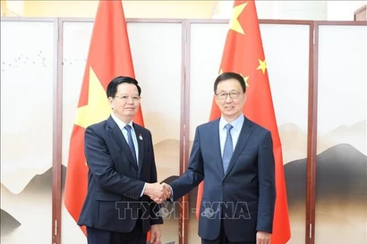 Le vice-Premier ministre vietnamien Mai Van Chinh (gauche) et Han Zheng, vice-président chinois. Photo: VNA