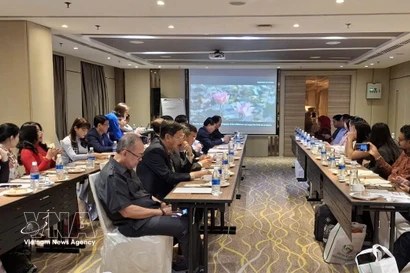 Panorama de la conférence. Photo: VNA