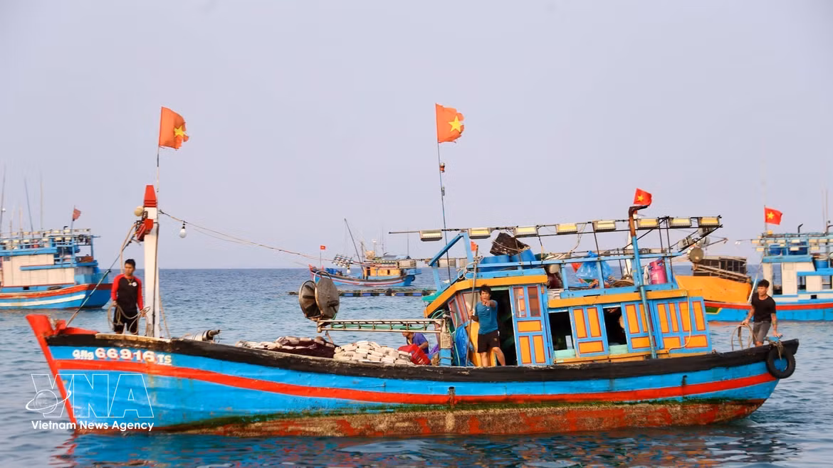 Ly Son : L'effervescence matinale au port de pêche d'An Vinh