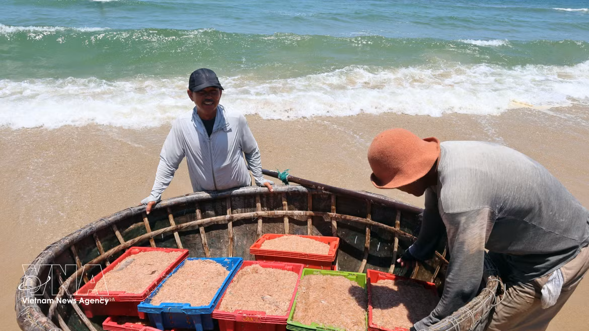 Da Nang : au rythme des vagues, le dur mais fier quotidien des pêcheurs