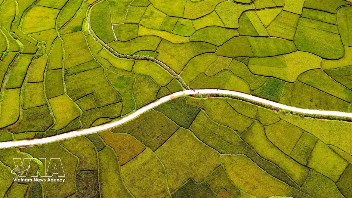 Des paysages de rizières à couper le souffle dans la province de Son La