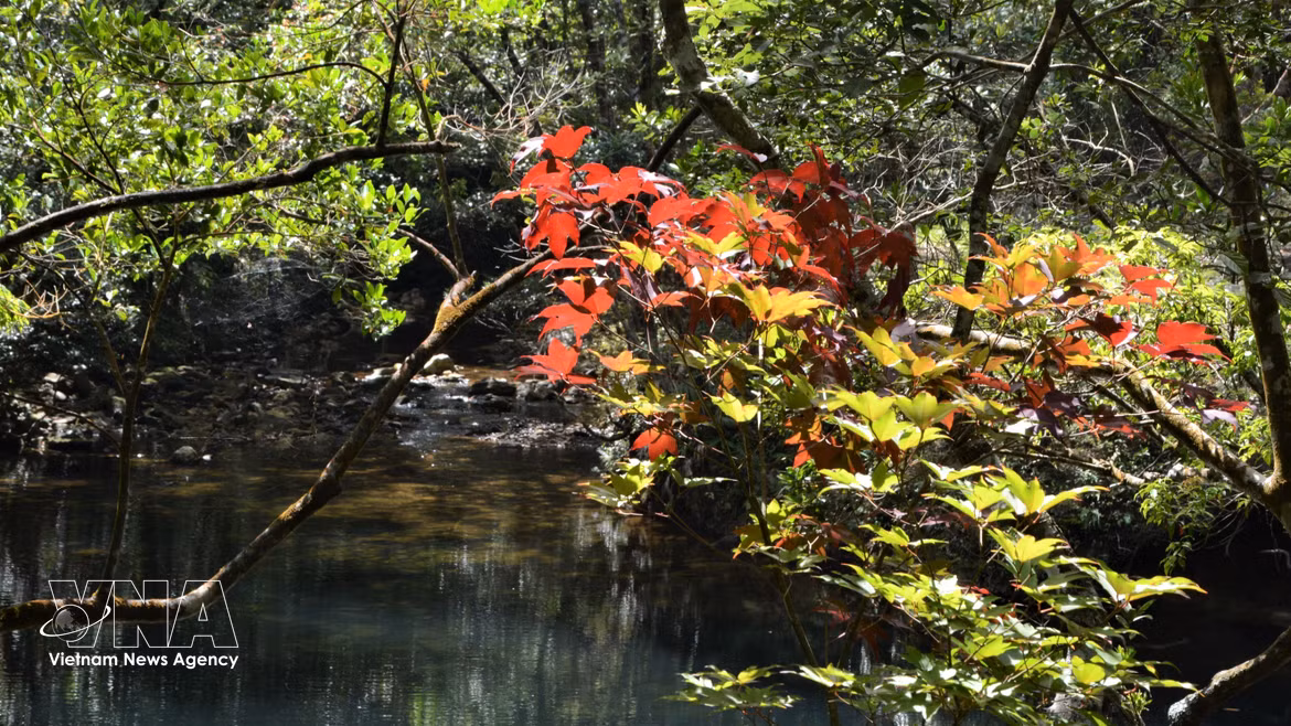 Hue : Concilier conservation et développement de l’écotourisme au parc national de Bach Ma