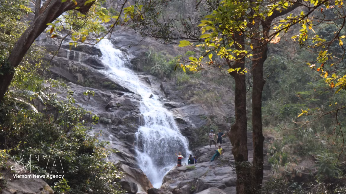 Classée site patrimonial au niveau provincial, cette chute d’eau prend sa source au sommet du mont Adin, culminant à 1 406 mètres d’altitude. Depuis une paroi rocheuse abrupte, l’eau s’écoule toute l’année, faisant de Thac Lua la plus haute cascade de la province. Photo: VNA