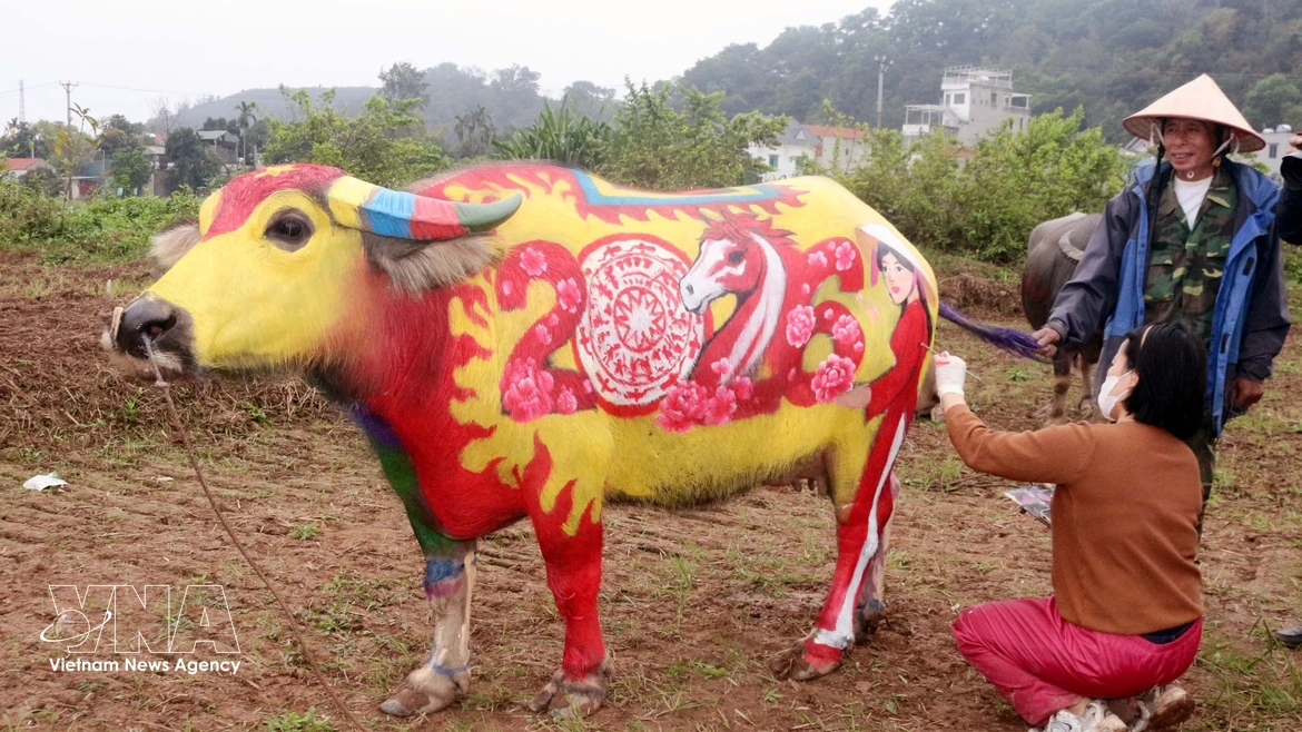 Le buffle qui a remporté le premier prix du concours. Photo: VNA