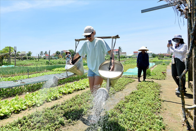 L’arrosage des légumes n’est pas simple pour les touristes étrangers. Première étape : puiser de l’eau dans les bassins prévus à cet effet. Ensuite, arroser avec une palanche sur les épaules. Un exercice qui exige de la force et de l'équilibre, la palanche à laquelle deux arrosoirs sont accrochés devant être parfaitement équilibrée sur leurs épaules. Photo : VI 8.jpg