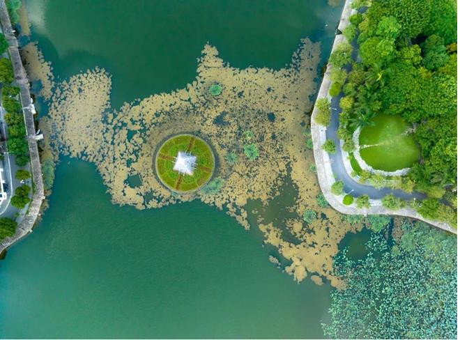 La nature, les rivières et les lacs créent la beauté sereine de Ha Nam. Photo : the Sun Group Ha Nam.webp