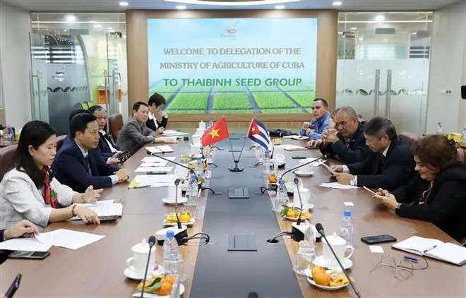La séance de travail entre la mission du ministère cubain de l'Agriculture et le Comité populaire de la province de Thai Binh (Nord). Photo : VNA Thai Binh.webp