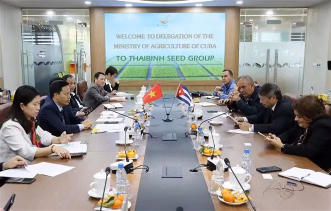 Thai Binh.webp