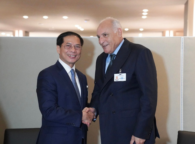 Le vice-Premier ministre et ministre des Affaires étrangères Bui Thanh Son et le ministre algérien des Affaires étrangères Ahmed Attaf. Photo : VNA alger.jpg