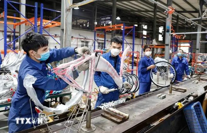 La production à la société de vélos Thong Nhat. Photo : VNA xe dap.webp