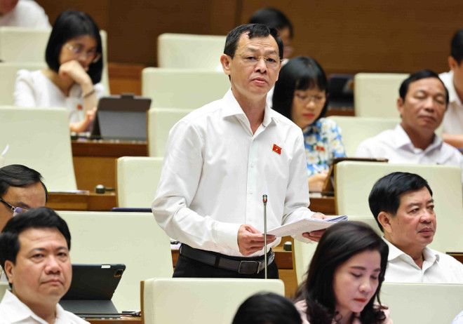 Un député de l'AN prend la parole lors de la séance de discussion. Photo : VNA depute.jpg