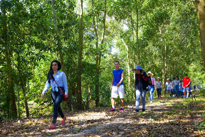 Les touristes peuvent explorer les sentiers pédestres à travers la forêt de cajeput dans la zone touristique Endless Field. Photo : VI 6.jpg
