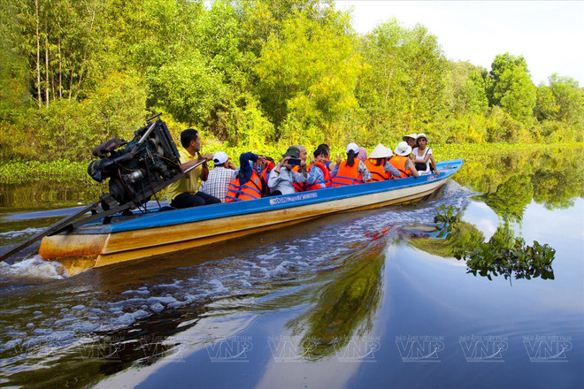 À Long An, les visiteurs peuvent profiter d'excursions en bateau à travers des canaux ornés de nénuphars, menant à la forêt primitive de cajeput. Photo : VI 2.jpg