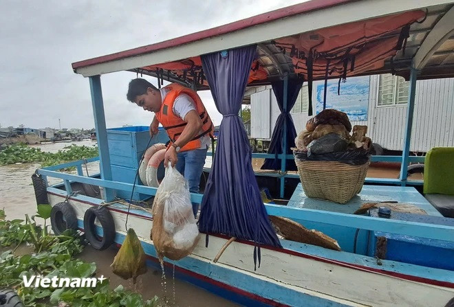 Les déchets sont collectés sur la rivière Can Tho, dans la zone du marché flottant de Cai Rang, arrondissement de Ninh Kieu. Photo : VietnamPlus Untitled3.jpg
