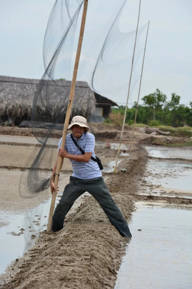 Nguyên Hoài Bao tente de détruire le filet pour piéger les oiseaux migrateurs. Photo : NVCC/CVN M.Bao.png