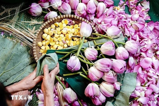Le thé au lotus de Hanoï est un produit célèbre de la capitale. Photo: VNA screenshot-2024-07-15-143052-6971.jpg.webp