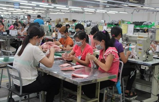 HSBC revoit à la hausse ses prévisions de croissance du PIB du Vietnam pour 2024, passant de 6% à 6,5%. Photo: VietnamPlus chaine 1.webp