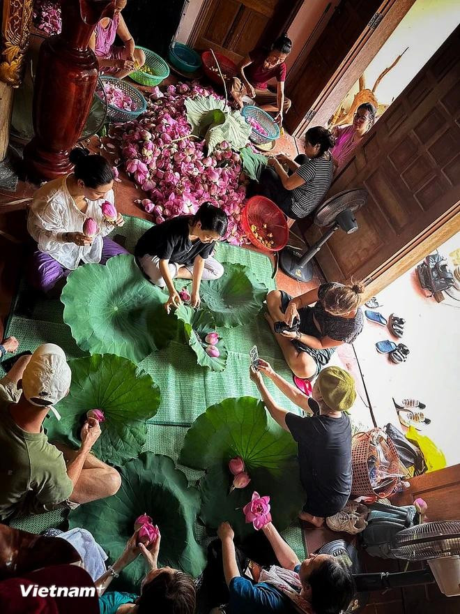 Des visiteurs étrangers expérimentent une séance de fabrication de thé au lotus avec des artisans de Hanoï. Photo : VietnamPlus tay-ho-lotus-2-4147.jpg.webp