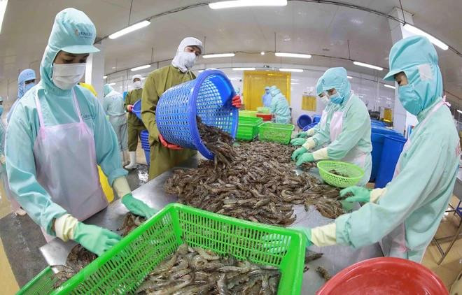 Les exportations du secteur de l’aquaculture ont atteint 7,23 milliards de dollars, en hausse de 9,5% en glissement annuel. Photo: Vietnamplus cafe 1.webp