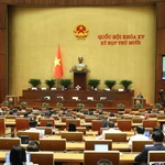 Un séance de travail à la 15e Assemblée nationale. Photo : VNA