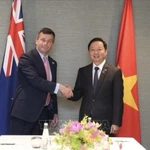 Le vice-Premier ministre Tran Hong Ha (droite) et le vice-Premier ministre néo-zélandais David Seymour. Photo : VNA