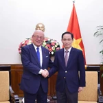 Le ministre des Affaires étrangères Le Hoai Trung (droite) et Takebe Tsutomu, conseiller spécial de l’Alliance des parlementaires d’amitié Japon – Vietnam. Photo : VNA