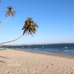 La station balnéaire de Mui Ne, dans la province de Lam Dong, confirme son statut de destination incontournable pour le kitesurf en Asie. Photo: VNA