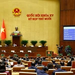 Les députés adoptent la Loi sur sur l’extradition. Photo : VNA