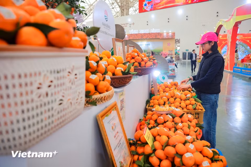 L’espace dédié aux produits agricoles et spécialités régionales est conçu comme un "voyage printanier à travers le Vietnam", principalement installé dans les halls du centre d’exposition Kim Quy et les zones extérieures. Photo : Hoài Nam/Vietnam+