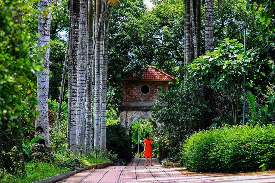 L'espace vert dans la famille Dinh Cong à Muong Coi, commune de Luong Son, province de Phu Tho. Photo: VNA