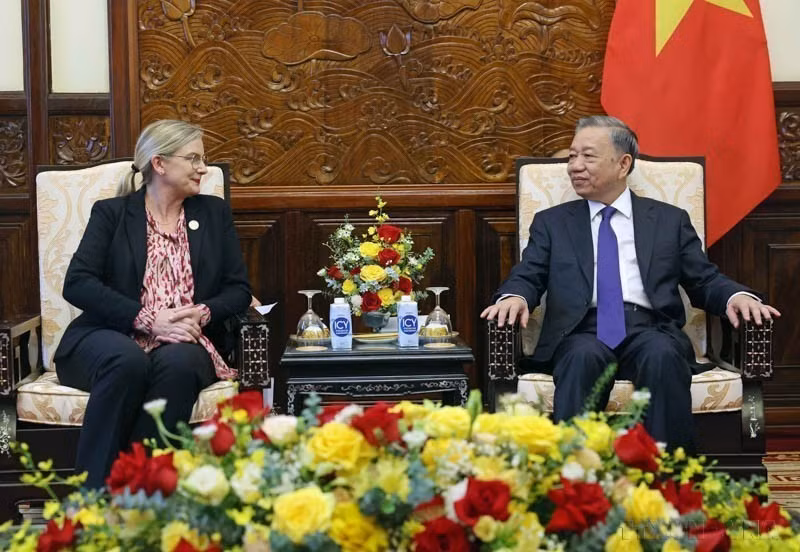 Le président Tô Lâm reçoit l'ambassadrice de Suède au Vietnam, Ann Mawe, venue prendre congé au terme de son mandat au Vietnam, le 18 juin 2024.
