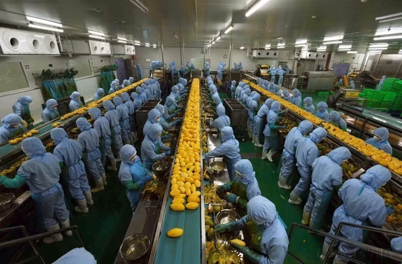 L'usine agro-alimentaire de la Sarl B'LaoFood, située dans le parc industriel de Lôc Son, à Bao Lôc, est la plus grande usine de la province de Lâm Dông. Sa chaîne de production est équipée de machines et technologies suédoises.