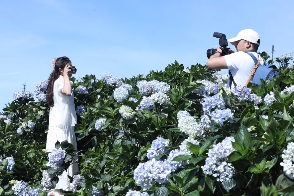 Des jeunes prennent des photos souvenirs. Photo : Anh Tuan - VNA