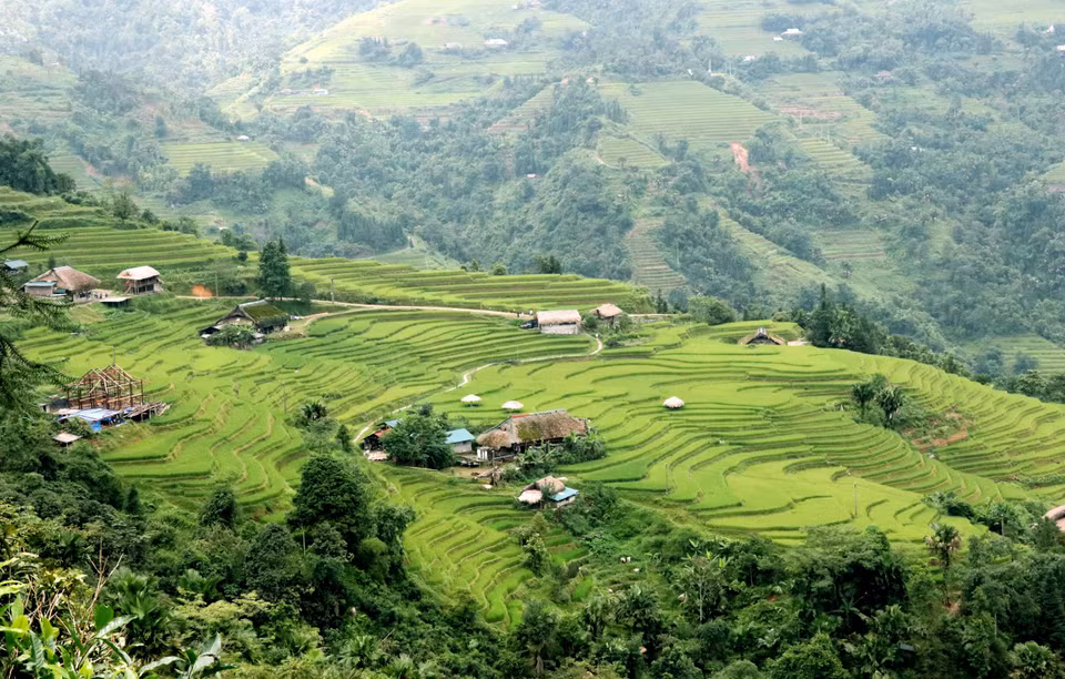 Dans les montagnes et forêts de la zone frontalière de Thanh Thuy (Tuyên Quang) se dressent des maisons aux toits recouverts de mousse.