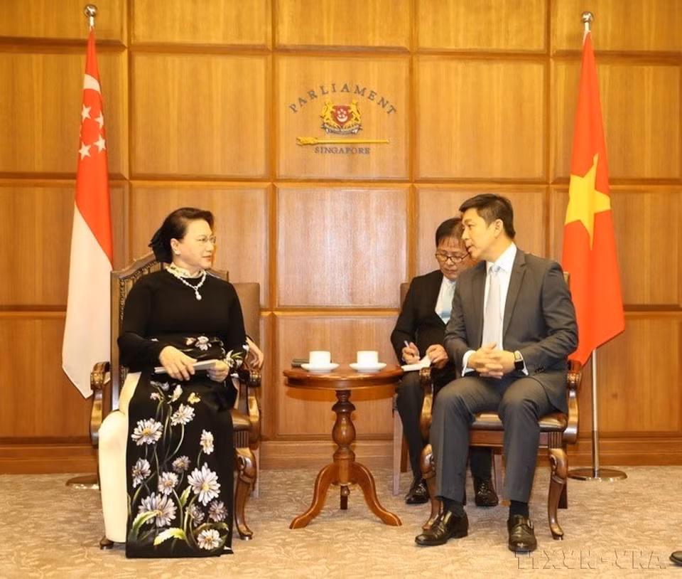 La présidente de l'Assemblée nationale, Nguyên Thi Kim Ngân, s'entretient avec le président du Parlement de Singapour, Tan Chuan-Jin, le 28 novembre 2017. Photo : Trong Duc - TTXN
