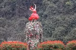 Ninh Binh séduit les visiteurs avec ses saisons florales patrimoniales