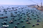 À l’échelle nationale, plus de 28 000 navires de pêche sont désormais équipés d’un système de surveillance satellitaire (VMS). Photo : VNA