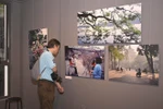 Un visiteur admire les photos de Nicolas Cornet lors de l'exposition « Hanoi Oi », un événement organisé à l'occasion du lancement du livre du même nom. Photo : VietnamPlus