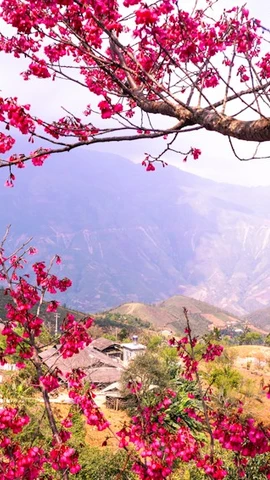 Voyager printanier : des destinations incontournables du début d’année 