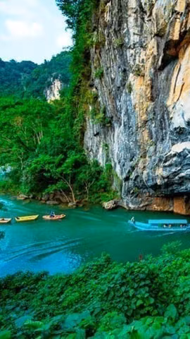 Le Vietnam compte 12 réserves mondiales de biosphère, témoignant de son engagement en faveur de la protection de l'environnement et du développement durable