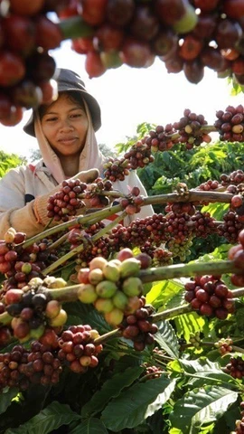 Transition verte – clé de l'intégration des entreprises vietnamiennes dans les chaînes d'approvisionnement mondiales